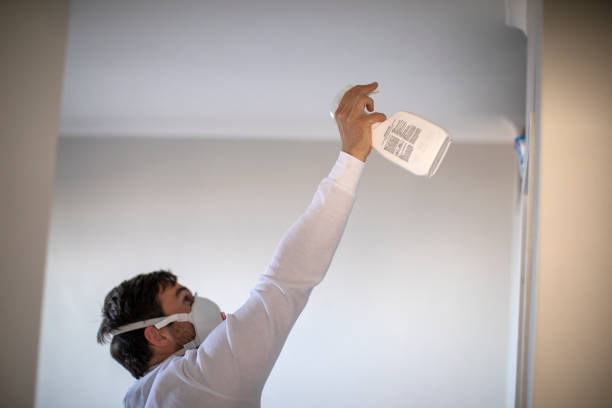Best Bathroom Mold Remediation in Lipatria, CA